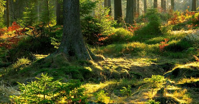 What Is Relationship Counselling and Can It Really Improve Your Relationship?