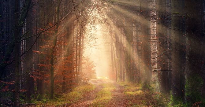 The Benefits of EMDR Therapy for Trauma Recovery image