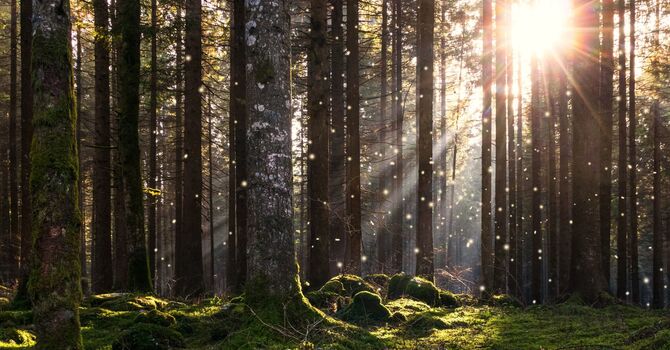 What Is Relationship Counselling and Can It Really Improve Your Relationship?