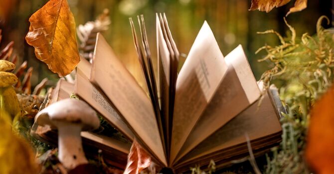 What Is Relationship Counselling and Can It Really Improve Your Relationship?