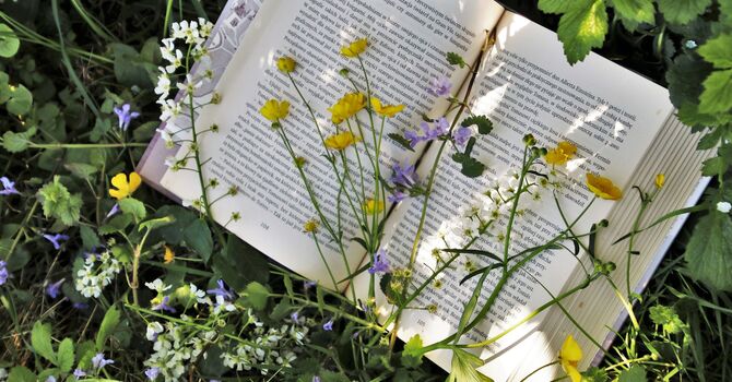 What Is Relationship Counselling and Can It Really Improve Your Relationship?