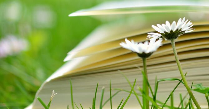 What Is Relationship Counselling and Can It Really Improve Your Relationship?