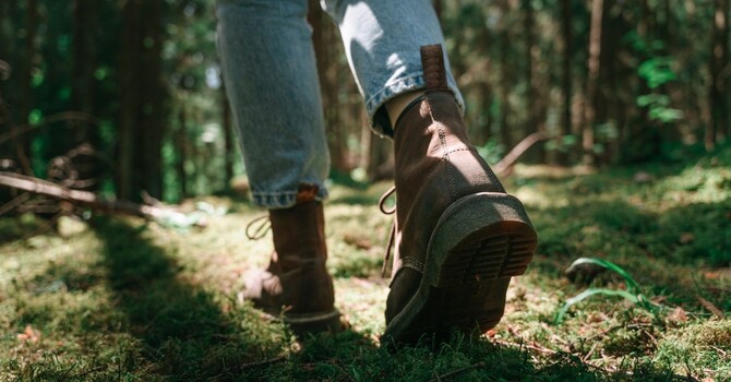 PTSD Therapy vs Trauma Counseling: What’s the Difference?